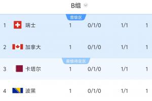 4队1分!世界杯B组按纪律分&世排定排名,瑞士1黄第1&波黑3黄垫底